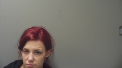 Mugshot of HENSON, DANIELLE